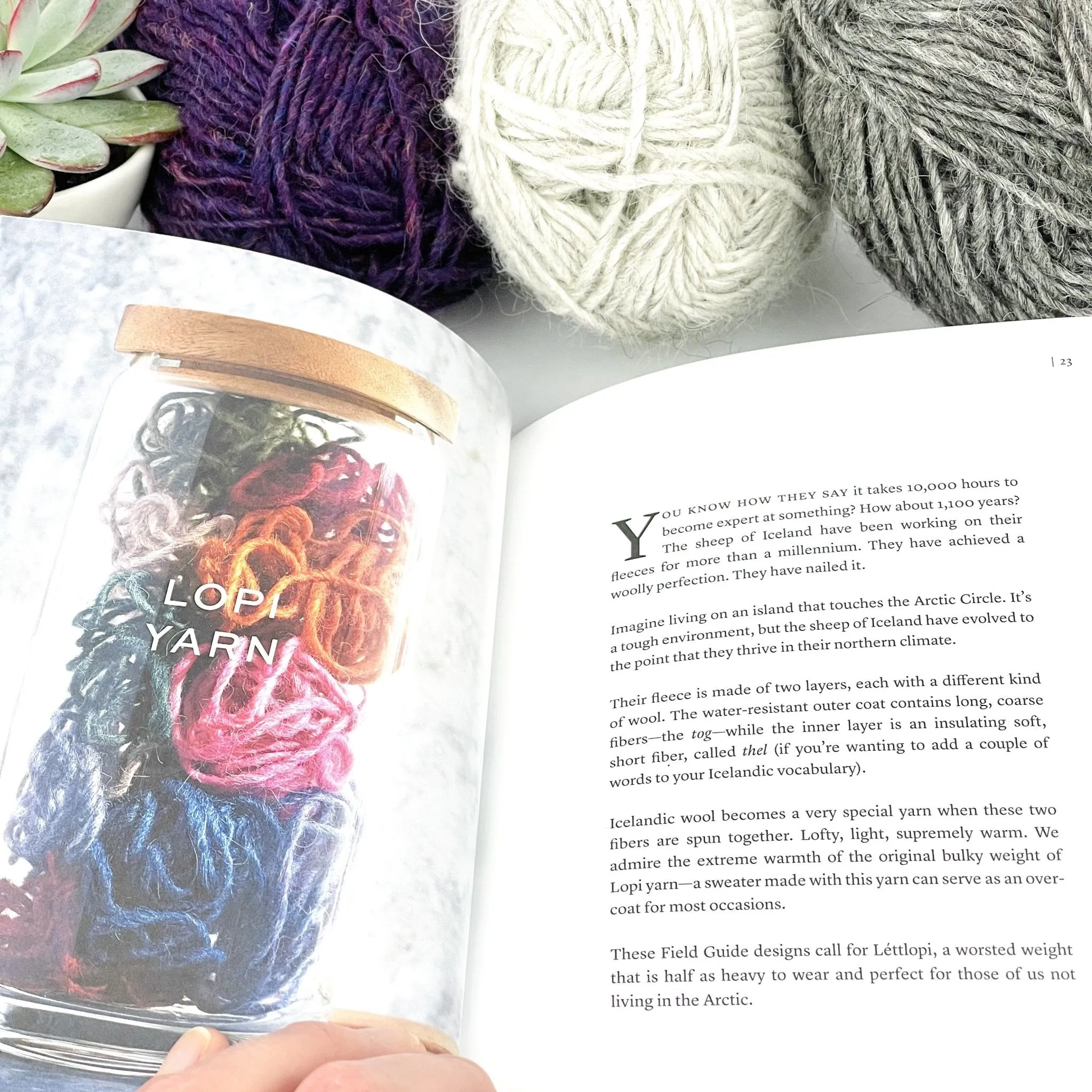 MDK Field Guide No. 17 LOPI by Modern Daily Knitting - Mary Jane Mucklestone - Five knitting designs for Lettlopi yarn